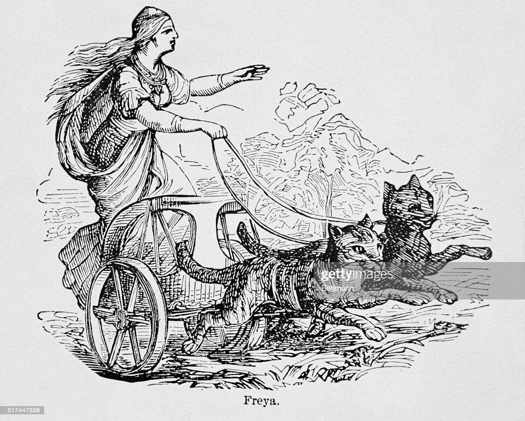 Freya riding in cart driven by two cats. In Norse mythology, she is the goddess of love. Friday was named for her. Woodcut.