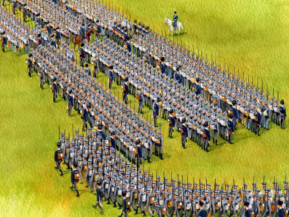 Line Infantry: Napoleon's Army